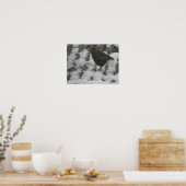 Icy Feet Starling Print Poster (Küche)