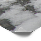 Icy Feet Starling Print Poster (Ecke)