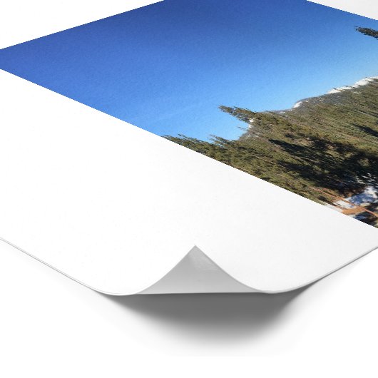 Icy Forest Panorama-Farbfotografie Poster (Ecke)