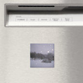Icy Glitzer Magnet (In Situ (Geschirrspüler))