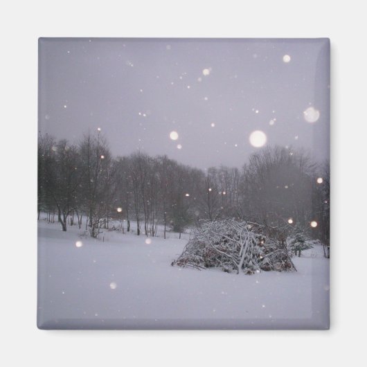 Icy Glitzer Magnet (Vorne)