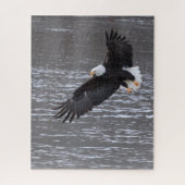 Icy Landung: Bald-Adler-Puzzle Puzzle (Vertikal)