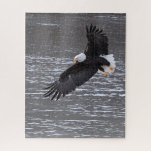 Icy Landung: Bald-Adler-Puzzle Puzzle