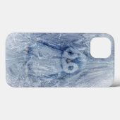 Icy Penguin Case-Mate iPhone Hülle (Rückseite (Horizontal))