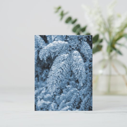 Icy Pine Postkarte (Stehend Vorderseite)