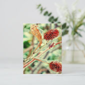 Icy Postkarte (Stehend Vorderseite)