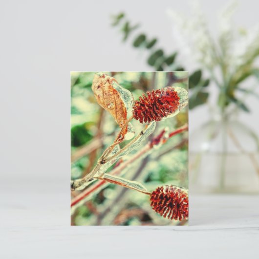 Icy Postkarte (Stehend Vorderseite)