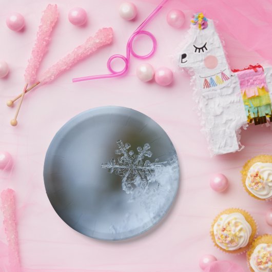 Icy Snowflake Pappteller (Party)