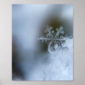 Icy Snowflake Poster (Vorne)