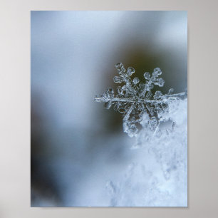 Icy Snowflake Poster