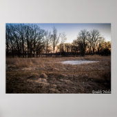 Icy Spring Poster (Vorne)