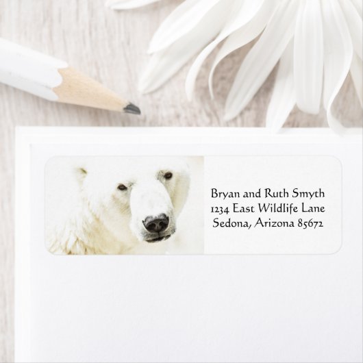 Icy Stare of a Polar Bären (Insitu)