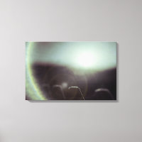 Icy Sun von Alexandra Cook