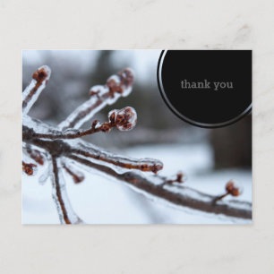 Icy Tree Branch Thank You Postkarte