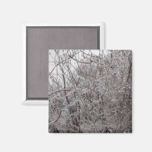 Icy Twigs Magnet (Vorderseite/Rückseite)