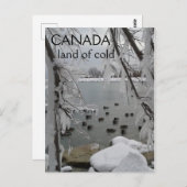 Icy Winter Canada Land of Cold Postkarte (Vorne/Hinten)