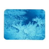 Icy Winter... Magnet (Horizontal)