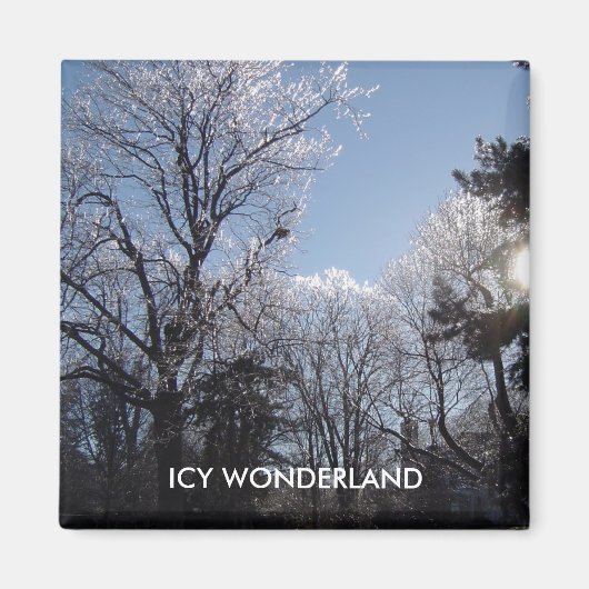 ICY WONDERLAND 4 Saisons Magnet (Vorne)