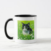 I'd Rather be at Home with my Cat Tasse (Links)