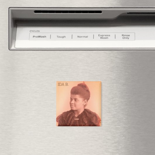 Ida B. Wells Magnet (In Situ (Geschirrspüler))
