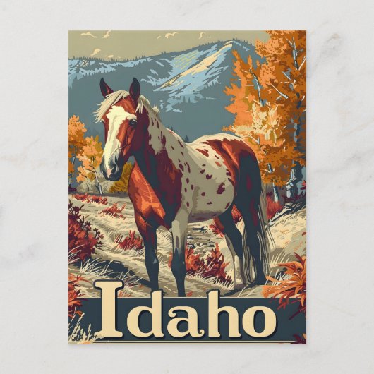 Idaho Appaloosa Postkarte (Vorderseite)