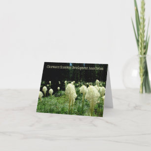 Idaho Bear Grass Karte