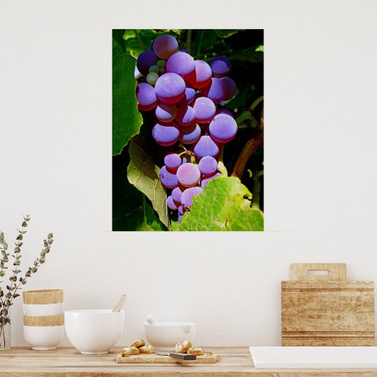 Idaho Concord Grapes Poster (Küche)