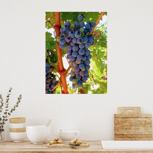 Idaho Concord Grapes Poster (Küche)