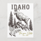 Idaho Der Gem Staat Est. 1890 Bergbach Postkarte (Vorderseite)