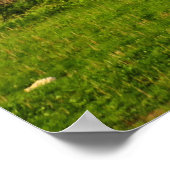 Idaho Double Rainbow Poster (Ecke)