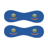 Idaho-Flagge Baseball (Paneele)