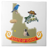 Idaho-Fliese Fliese (Vorderseite)