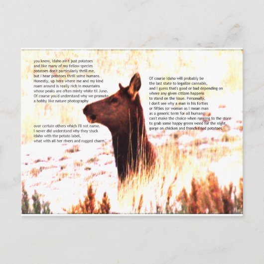idaho ist nicht nur Kartoffeln Postkarte (Vorderseite)