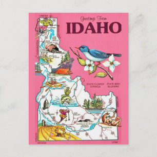 Idaho Karte Vintage Rosa Postkarte