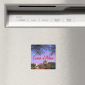 Idaho Magnet (In Situ (Geschirrspüler))