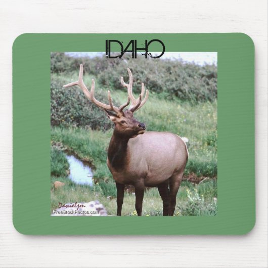IDAHO Mousepad (Vorne)