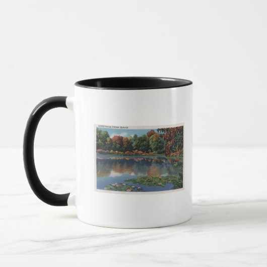 Idaho Seeszene mit Lily Pads Idaho Tasse (Links)