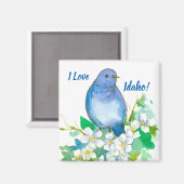 Idaho Souvenir Mountain Bluebird Syringa Magnet (Vorderseite/Rückseite)
