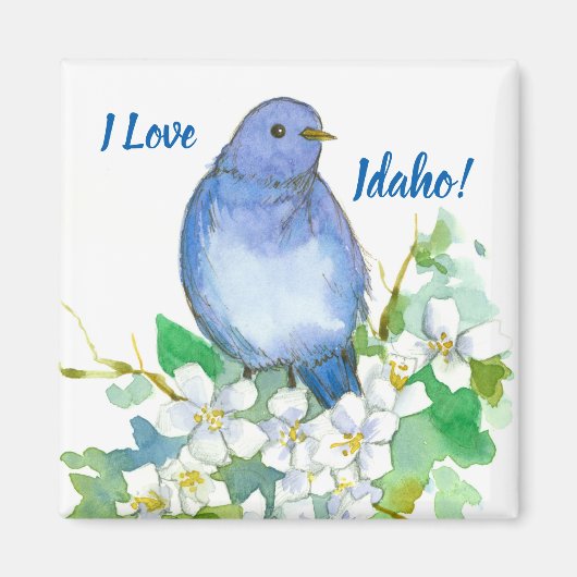 Idaho Souvenir Mountain Bluebird Syringa Magnet (Vorne)