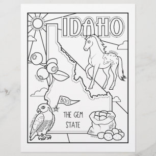idaho Staat Form und Faktenfärbung Flyer