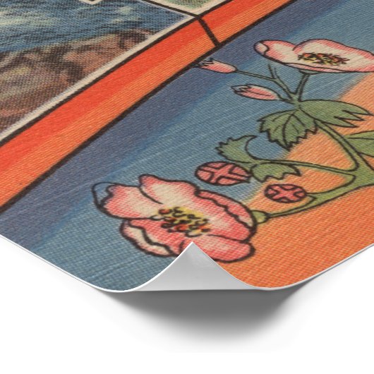 Idaho (Staat Hauptstadt/Blume) - Grosser Brief Poster (Ecke)