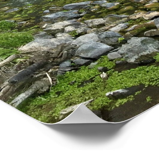 Idaho Thousand Springs Falls Print Poster (Ecke)