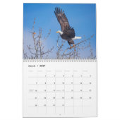 Idaho Vögel! Kalender 2021 (Mär 2027)