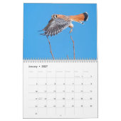 Idaho Vögel! Kalender 2021 (Jan 2027)