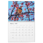 Idaho Vögel! Kalender 2021 (Feb 2027)