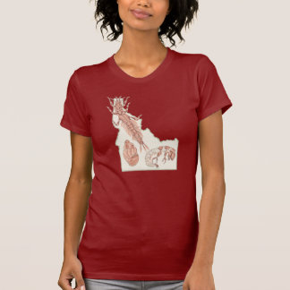 Idaho Wasserinsekten  T-Shirt
