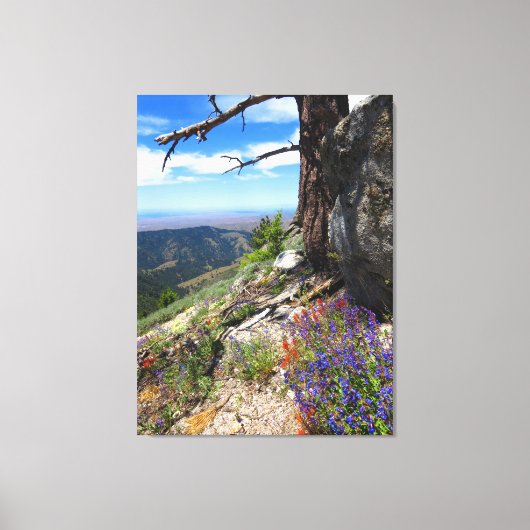 Idaho Wild Blume Leinwanddruck (Vorderseite)