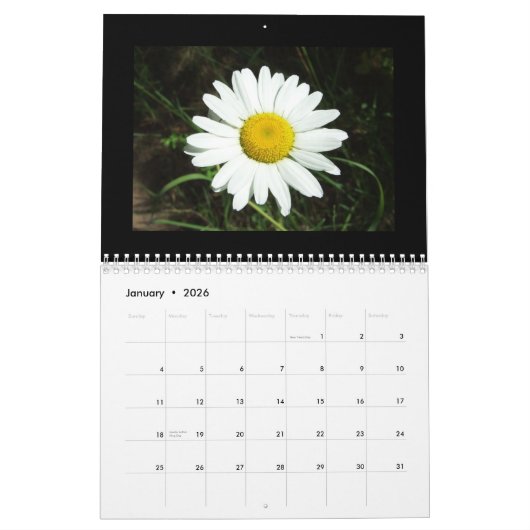 Idaho-Wildblume-Kalender Kalender (Jan 2026)