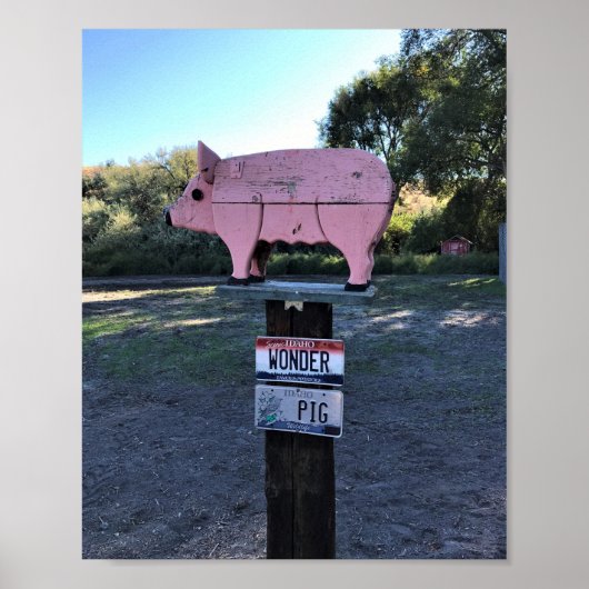 Idaho Wonder Pig, Funny Poster (Vorne)
