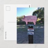 Idaho Wonder Pig, Funny Postkarte (Vorne/Hinten)